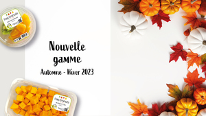 Gamme hiver 23